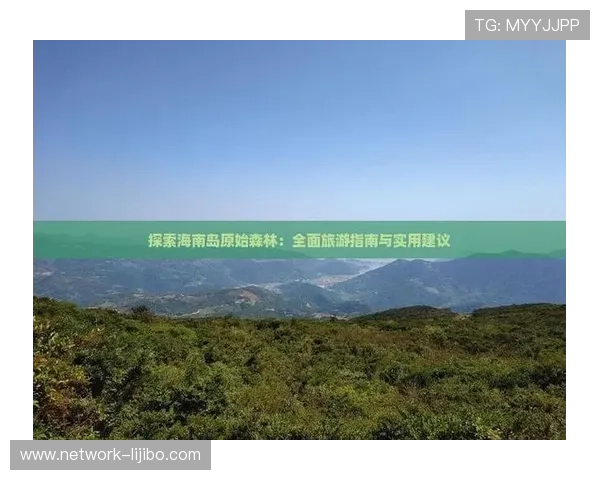 云达不来梅主场周边设施与交通攻略全面指南
